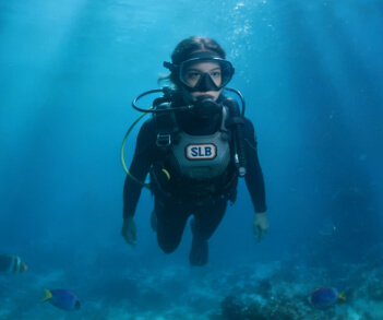 Diving Gear Identification