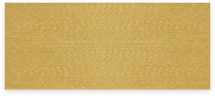 S560