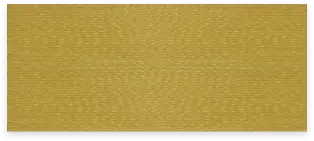 S561
